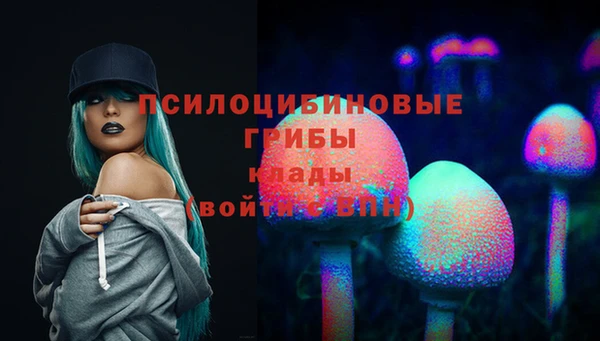 МДПВ Елабуга