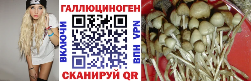 как найти закладки  Горно-Алтайск  Псилоцибиновые грибы мицелий 